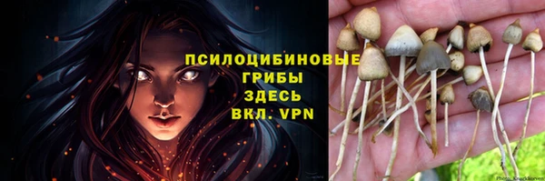 ALPHA PVP Богородск
