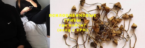 ALPHA PVP Богородск