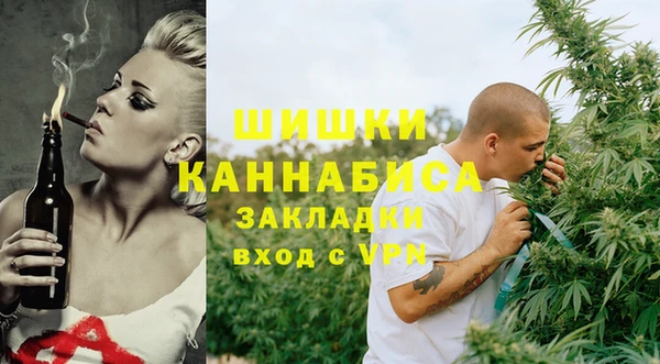 мдпв Богородицк