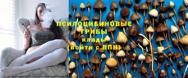 мдпв Богородицк