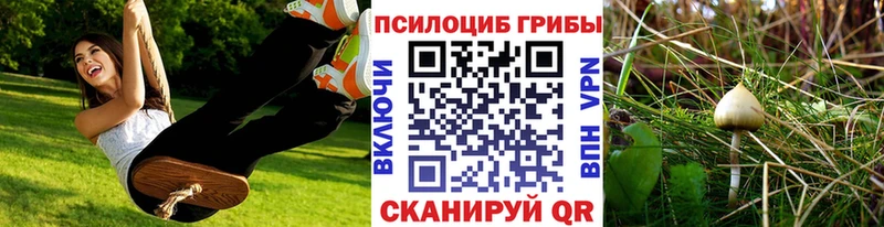 наркота  Челябинск  Галлюциногенные грибы мицелий 